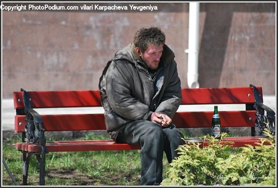 Human, People, Person, Bench, Park Bench, Beverage, Bottle