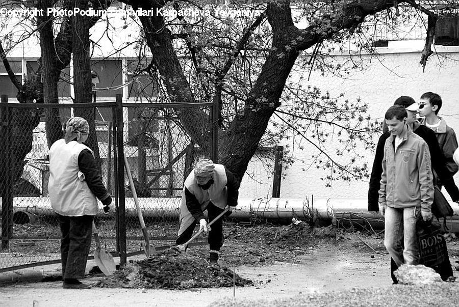 Human, People, Person, Plant, Tree, Park, Playground