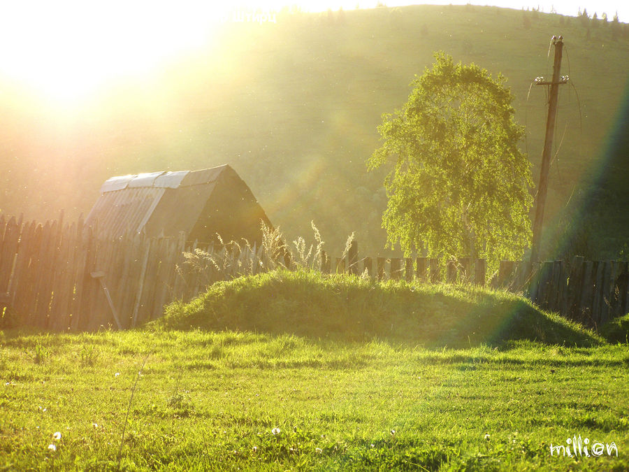 Field, Grass, Grassland, Plant, Land, Outdoors, Lawn