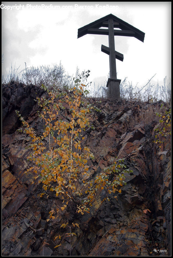 Cross, Crucifix, Conifer, Larch, Tree, Wood, Cliff