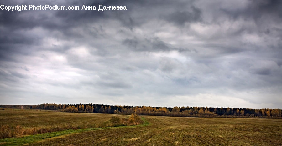 Field, Grass, Grassland, Land, Outdoors, Dirt Road, Gravel