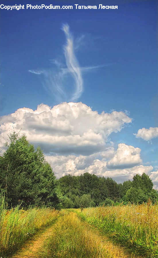 Field, Grass, Grassland, Land, Outdoors, Cloud, Cumulus