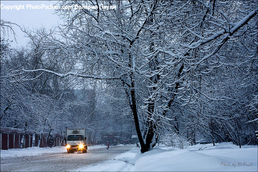 Blizzard, Outdoors, Snow, Weather, Winter, Landscape, Nature