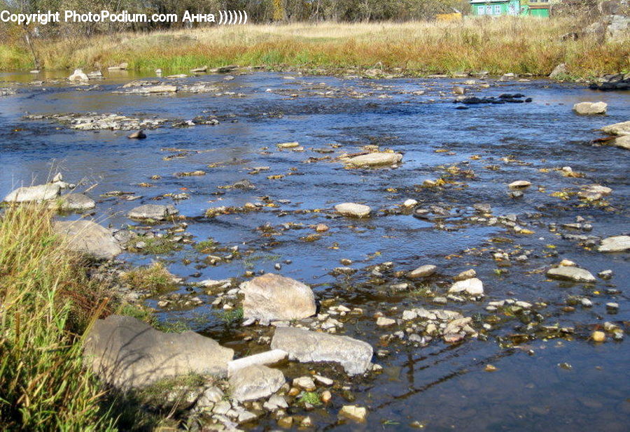 Creek, Outdoors, River, Water