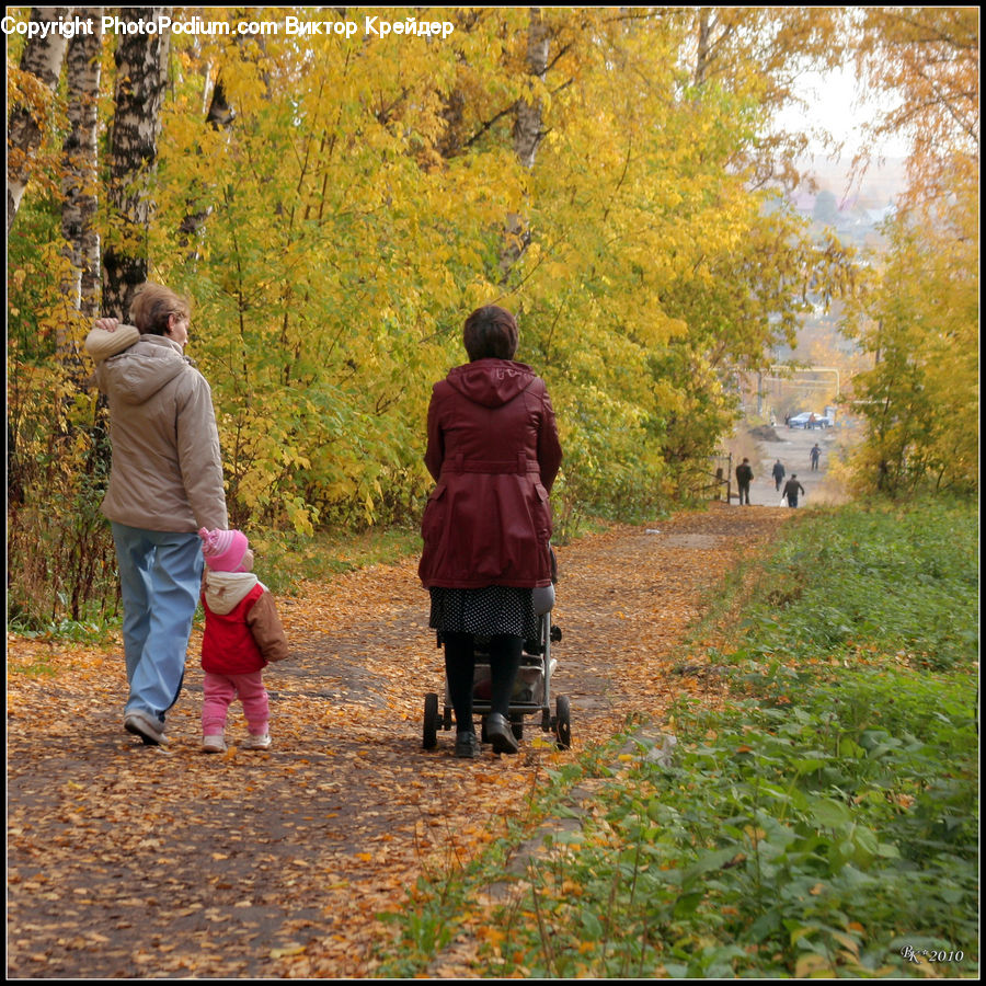 Human, People, Person, Leisure Activities, Walking, Outdoors, Dirt Road