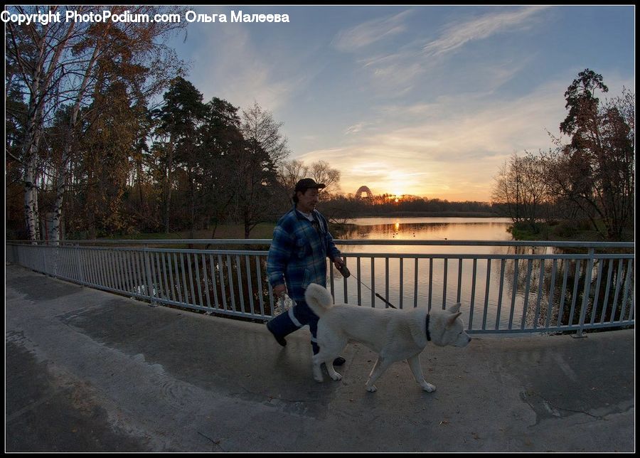 Human, People, Person, Exercise, Fitness, Jogging, Leisure Activities