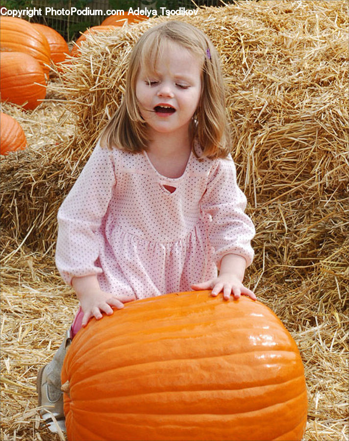 Human, People, Person, Pumpkin, Squash, Vegetable