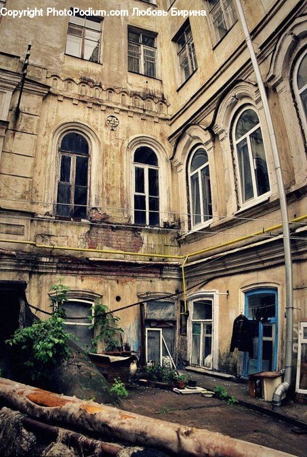 Plant, Potted Plant, Building, Housing, Backyard, Yard, Downtown