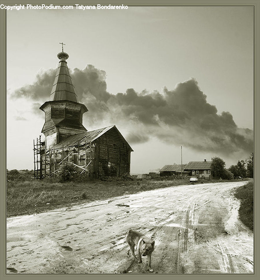 Cabin, Hut, Rural, Shack, Shelter, Countryside, Field