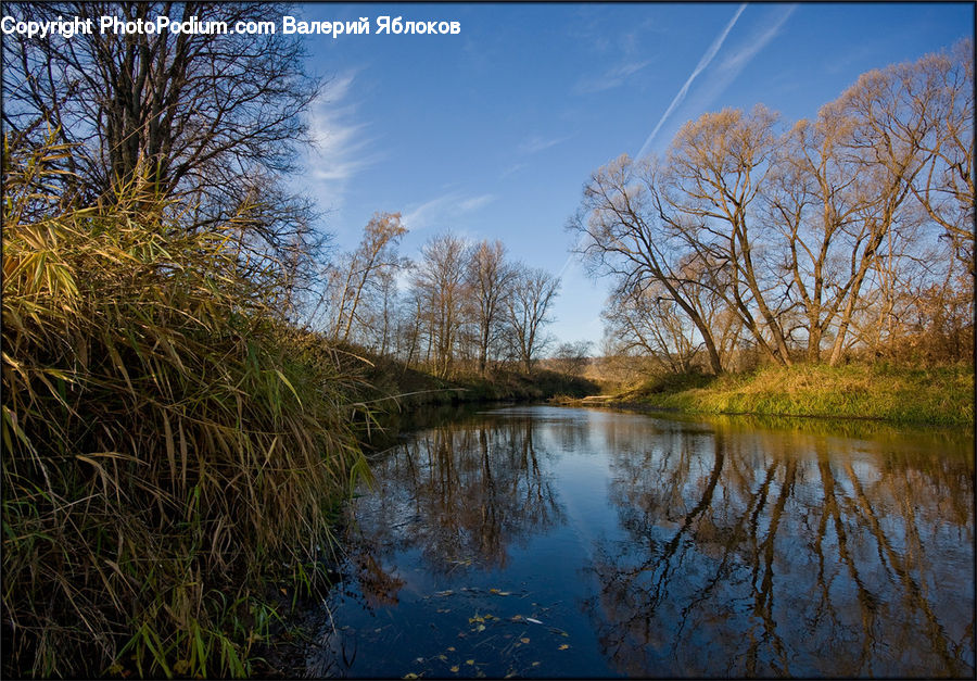 Field, Grass, Grassland, Plant, Canal, Outdoors, River