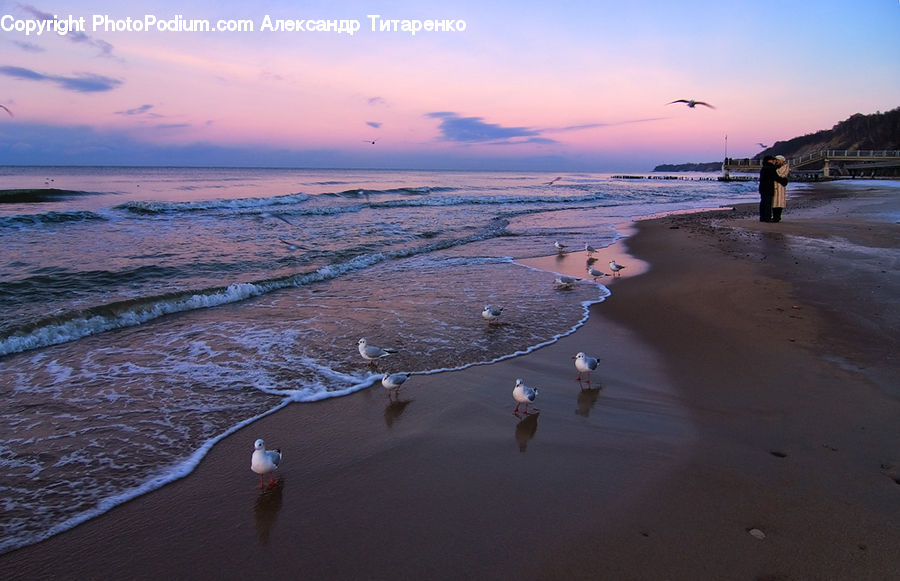 Beach, Coast, Outdoors, Sea, Water