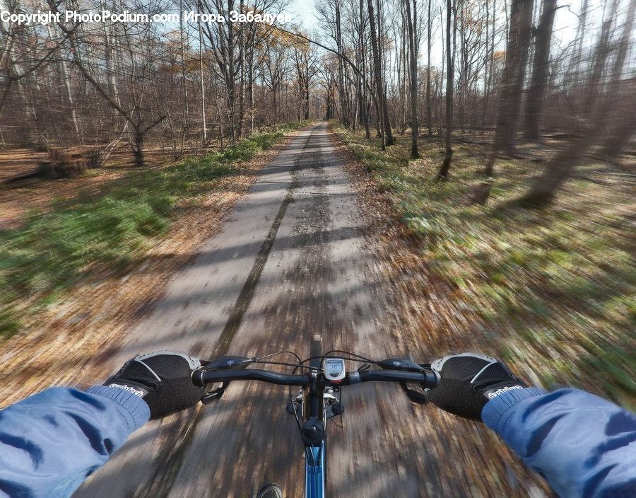 Binoculars, Bicycle, Bike, Vehicle, Forest, Vegetation, Dirt Road