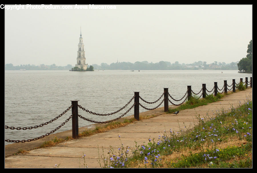 Fiber, Flax, Flora, Flower, Plant, Outdoors, Sea