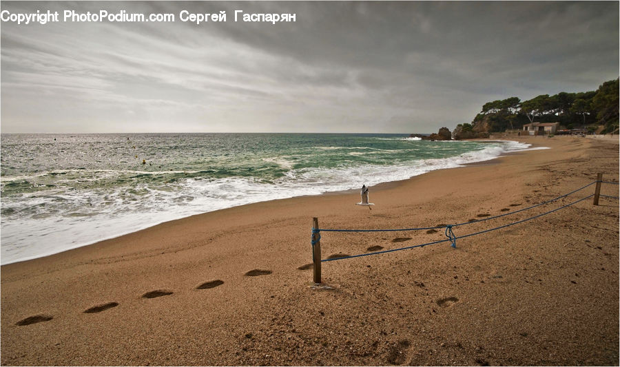 Beach, Coast, Outdoors, Sea, Water, Sand, Soil
