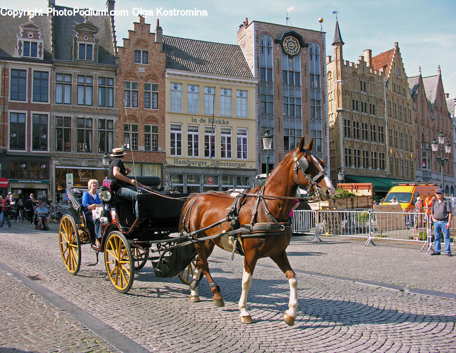 Carriage, Horse Cart, Vehicle, Animal, Horse, Mammal, Buggy