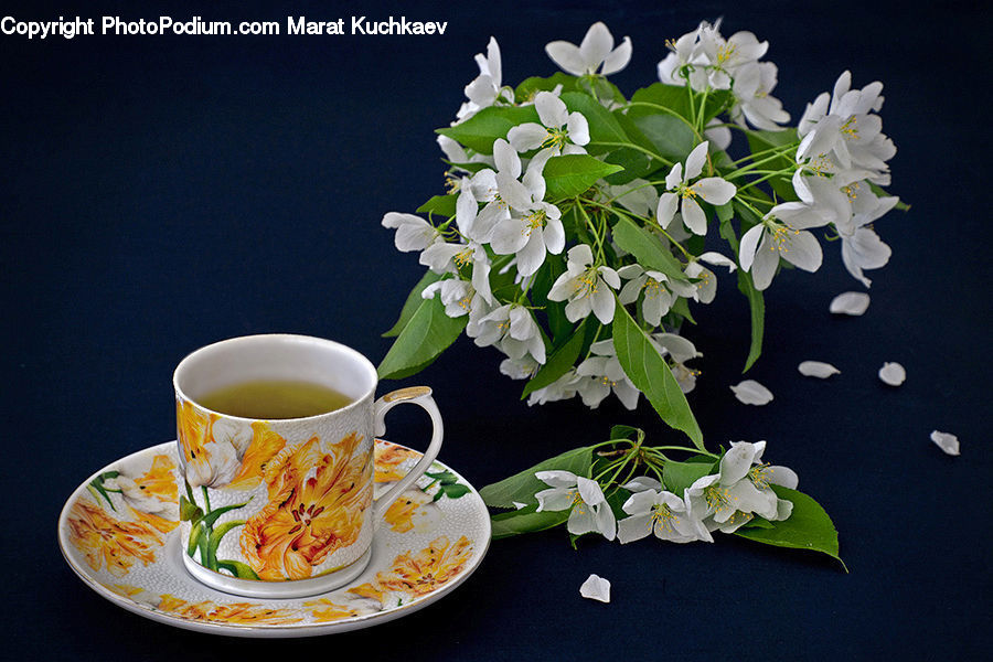 Porcelain, Saucer, Coffee Cup, Cup, Flower, Flower Arrangement, Flower Bouquet