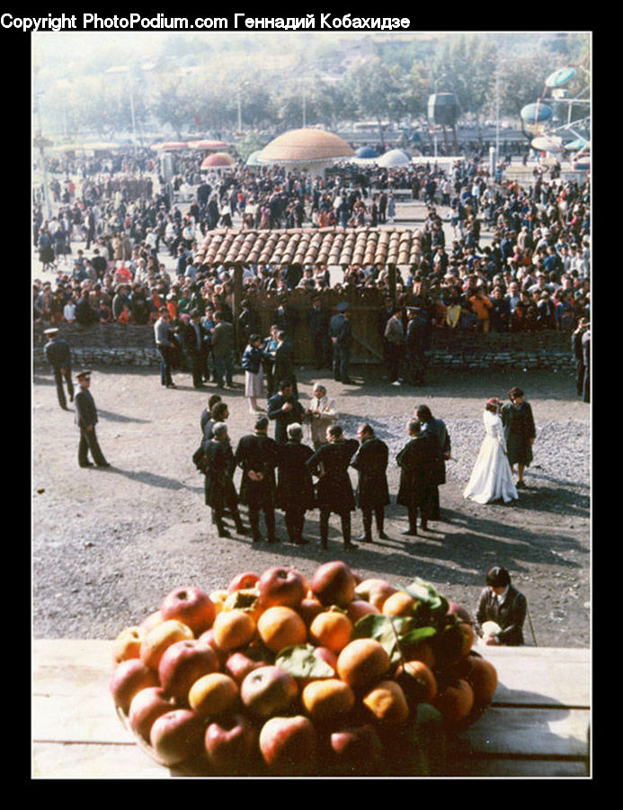 Crowd, Citrus Fruit, Fruit, Grapefruit, Bowl