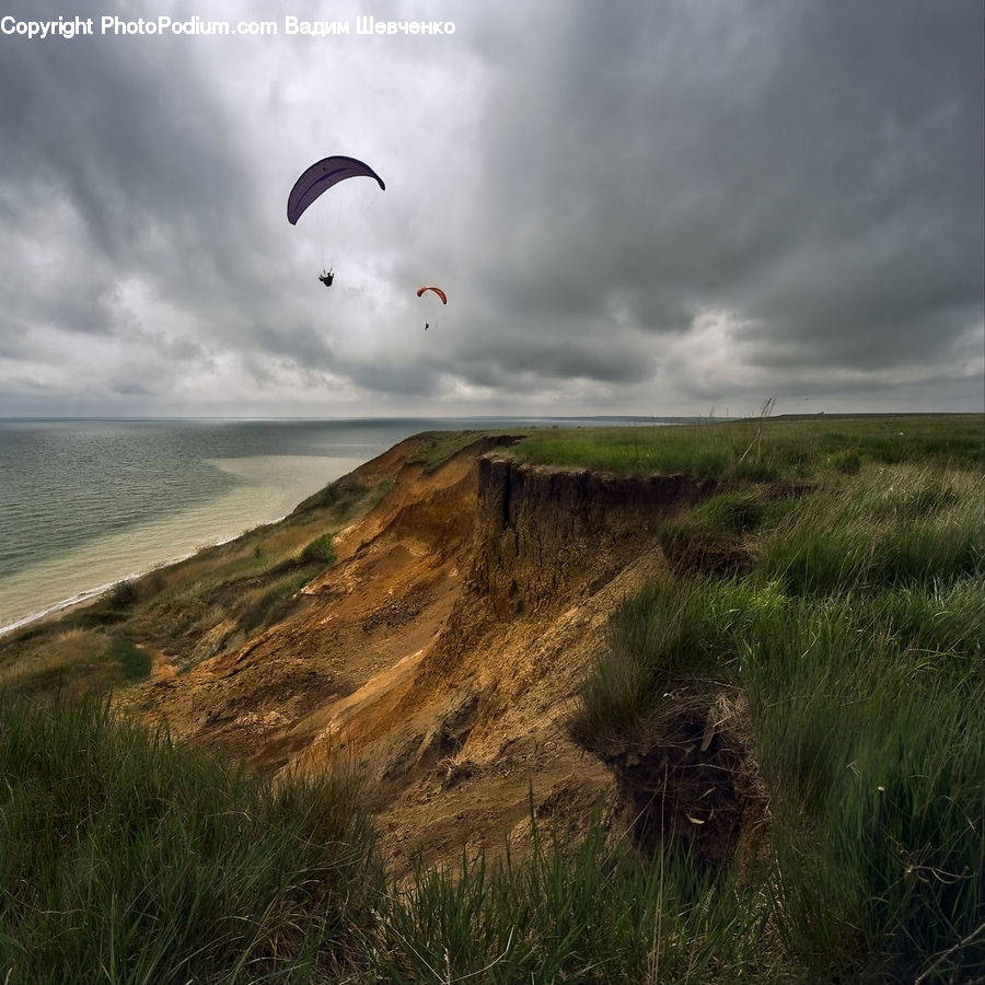 Adventure, Flight, Gliding, Grass, Plant, Reed, Field