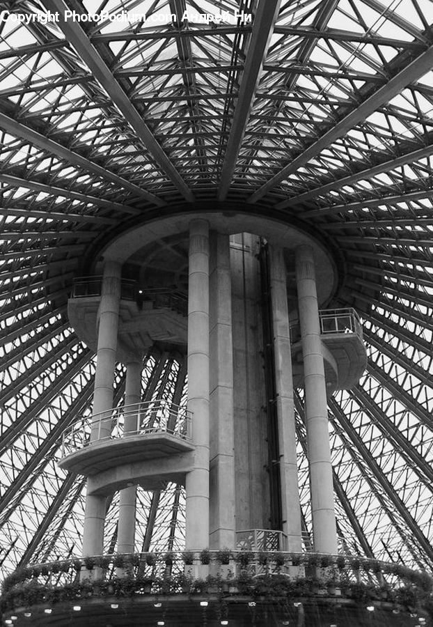 Column, Pillar, Plant, Potted Plant, Bridge, Viaduct, Canopy