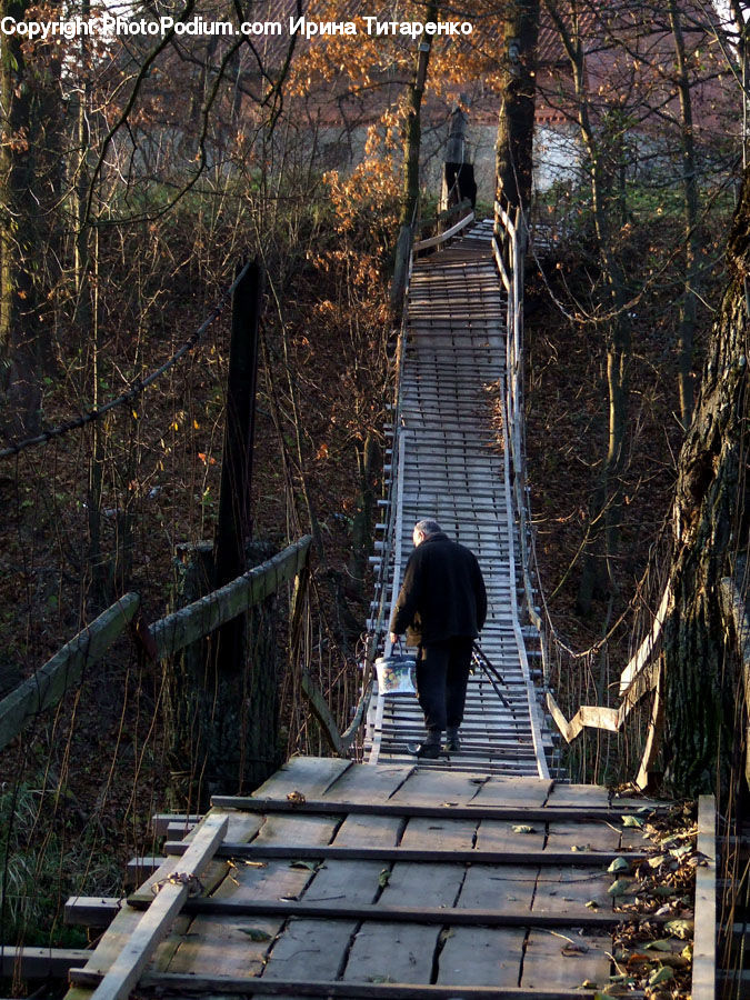 Boardwalk, Deck, Path, Sidewalk, Walkway, Leisure Activities, Walking