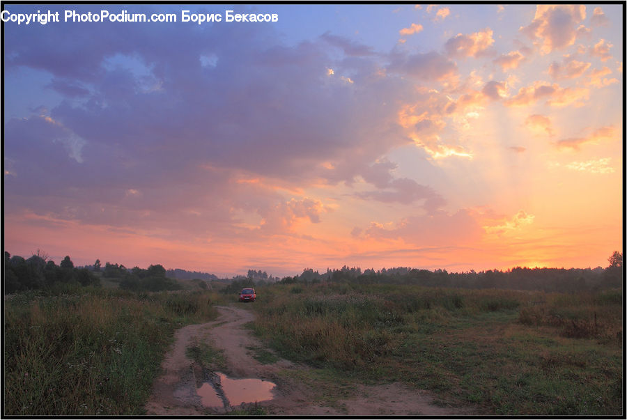 People, Person, Human, Dirt Road, Gravel, Road, Path