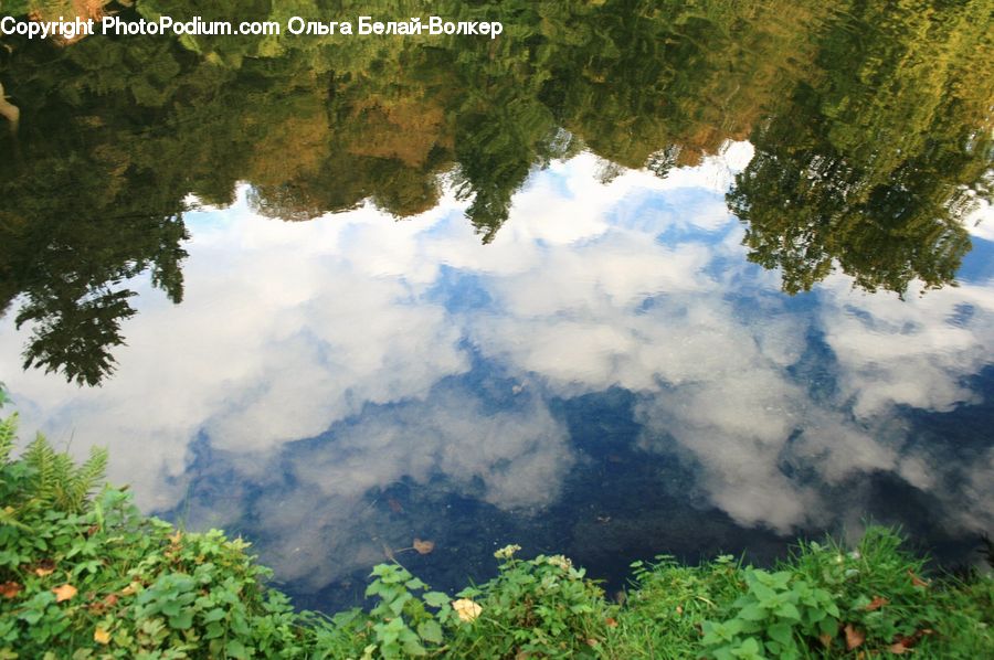 Outdoors, Pond, Water, Bush, Plant, Vegetation, Cloud