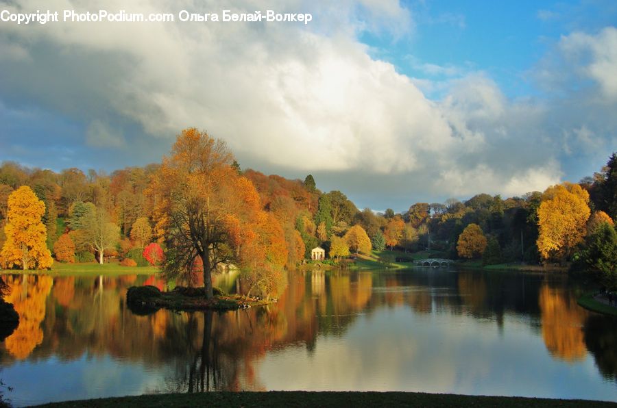 Art, Painting, Outdoors, Pond, Water, Lake, Plant