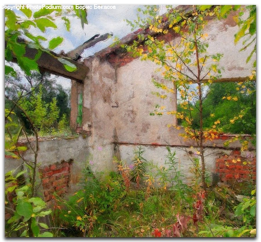 Conifer, Larch, Tree, Wood, Brick, Building, Cottage