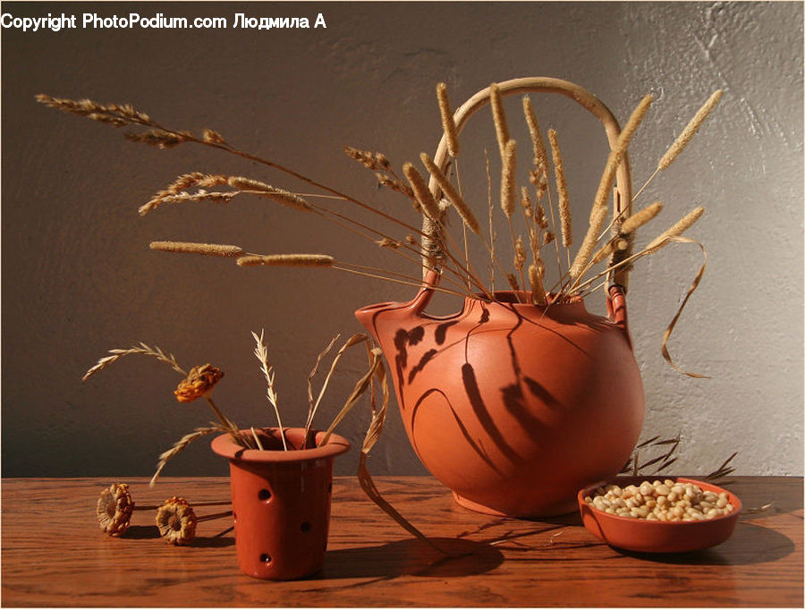 Plant, Potted Plant, Glass, Goblet, Pot, Pottery, Bean