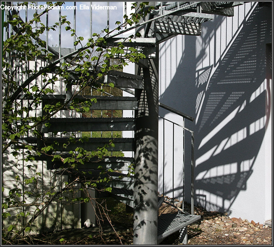 Patio, Pergola, Porch, Rubble, Bridge, Birch, Tree