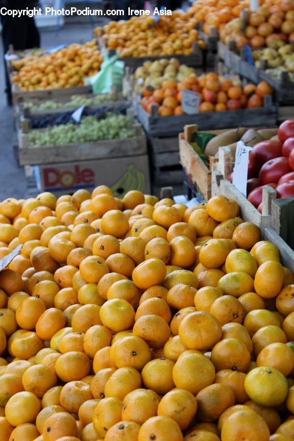 Citrus Fruit, Fruit, Grapefruit, Market, Produce, Bazaar