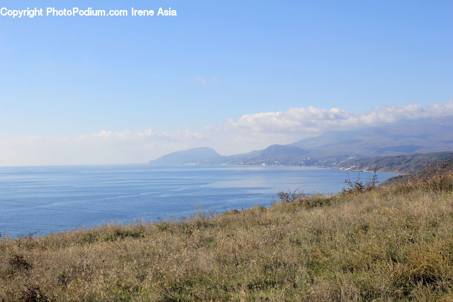 Field, Grass, Grassland, Plant, Beach, Coast, Outdoors