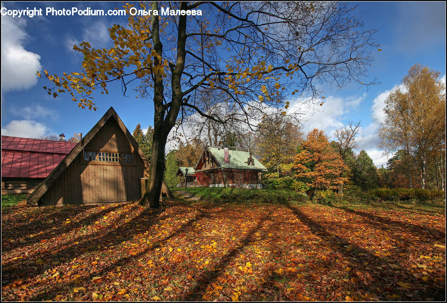 Building, Cottage, Housing, Dirt Road, Gravel, Road, Cabin