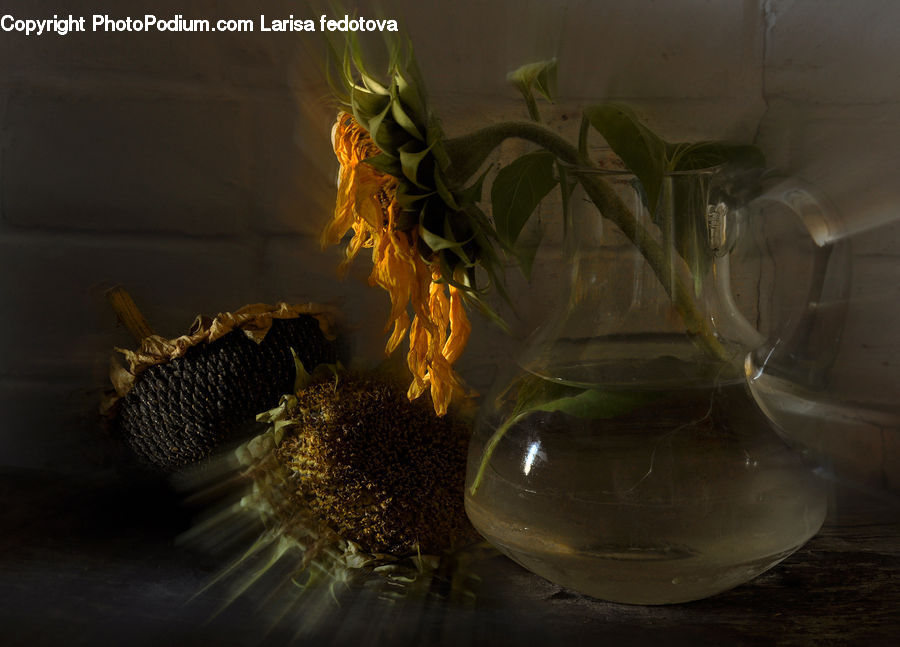 Flower Arrangement, Ikebana, Plant, Potted Plant, Vase, Glass, Goblet