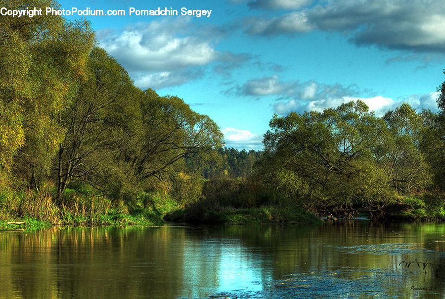 Outdoors, River, Water, Lake, Forest, Vegetation, Landscape