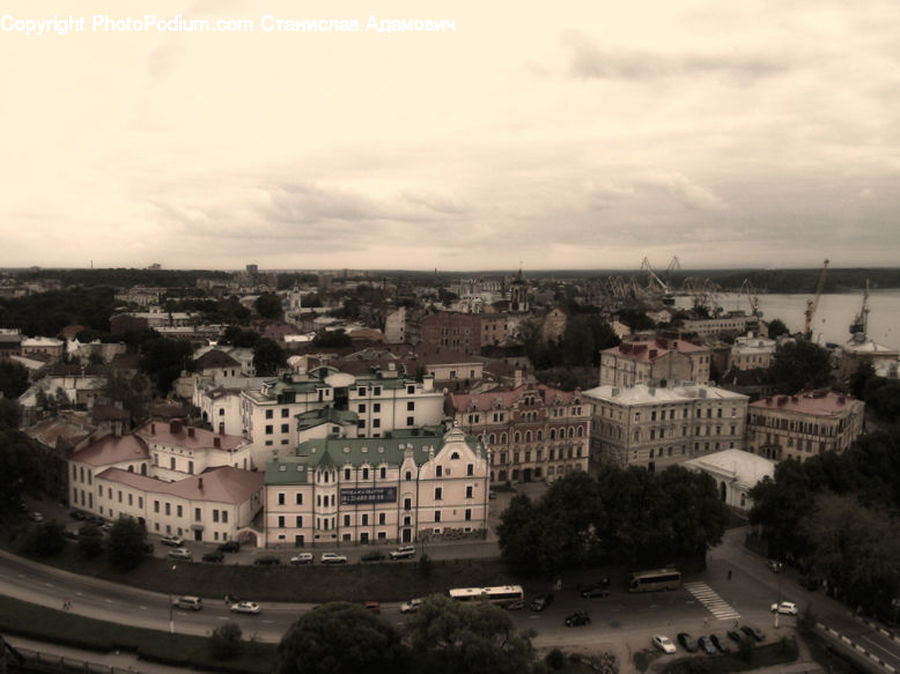 Aerial View, Building, Office Building, Plant, Potted Plant, City, Downtown