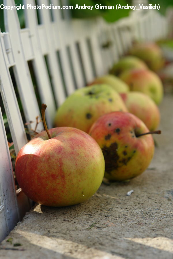 Apple, Fruit, Cherry