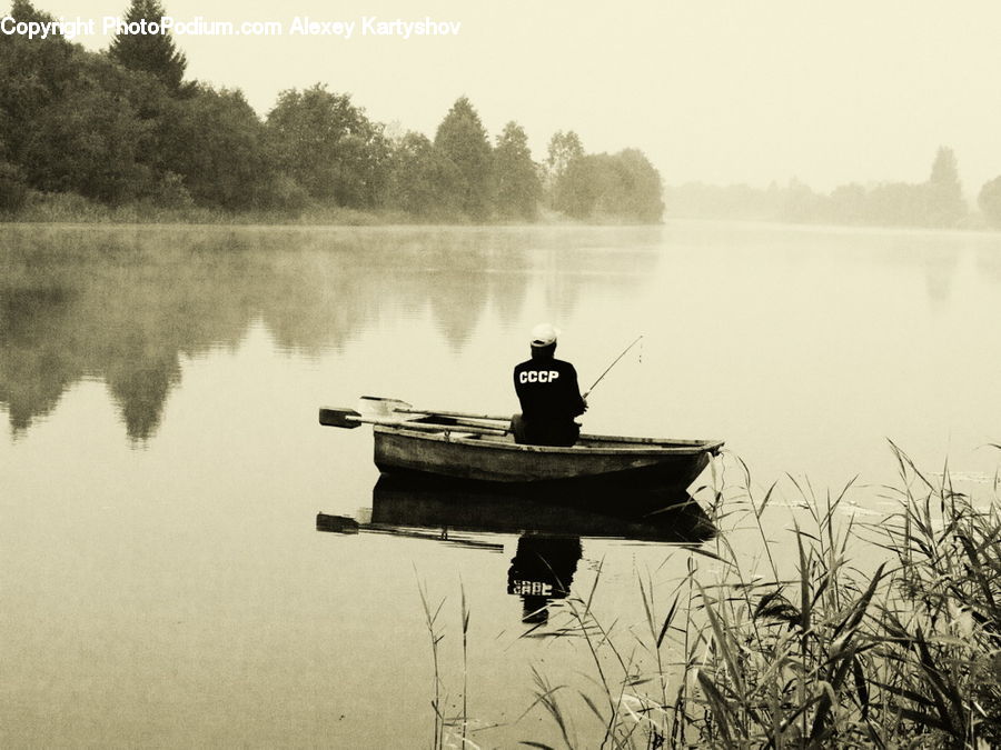 Grass, Plant, Reed, Boat, Watercraft, Angler, Fishing