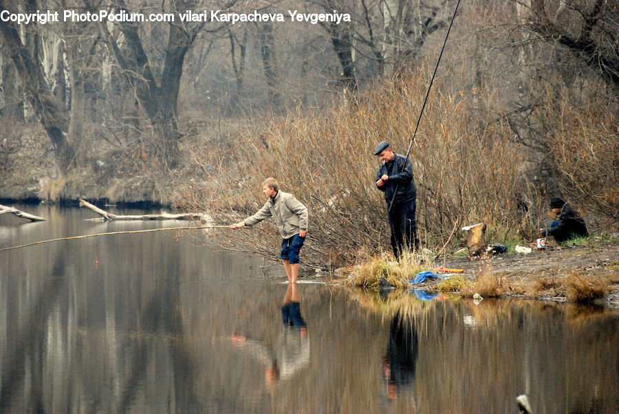 Land, Marsh, Outdoors, Swamp, Water, Pond, Leisure Activities