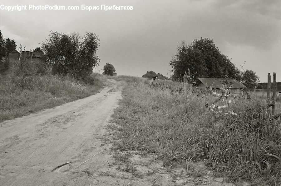 Countryside, Outdoors, Path, Trail, Farm, Field, Dirt Road