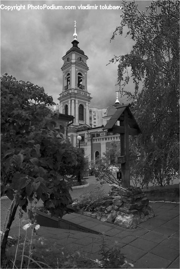 Architecture, Bell Tower, Clock Tower, Tower, Spire, Steeple, Plant