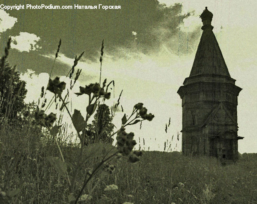 Architecture, Bell Tower, Clock Tower, Tower, Spire, Steeple, Church