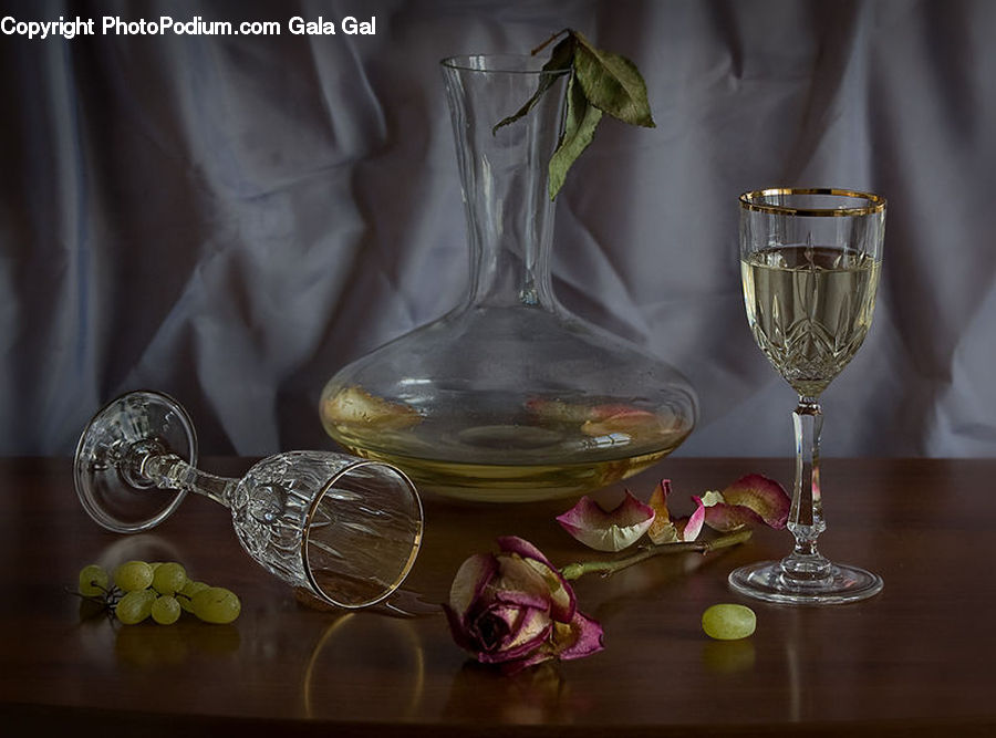 Glass, Goblet, Blossom, Flora, Flower, Petal, Plant
