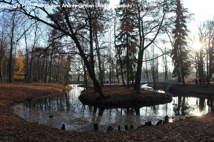 Lake, Outdoors, Water, Land, Marsh, Swamp, Ruins