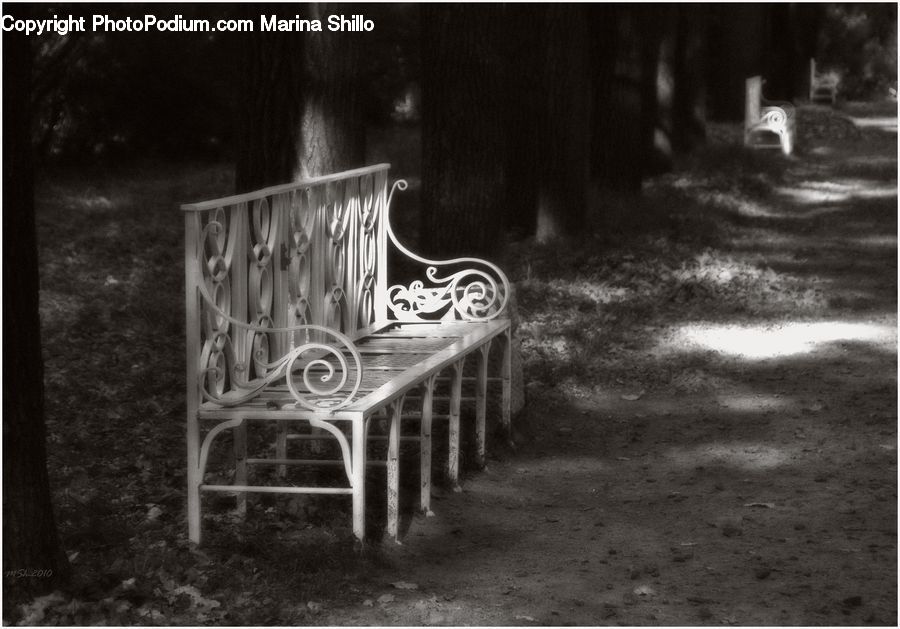 Bench, Chair, Furniture