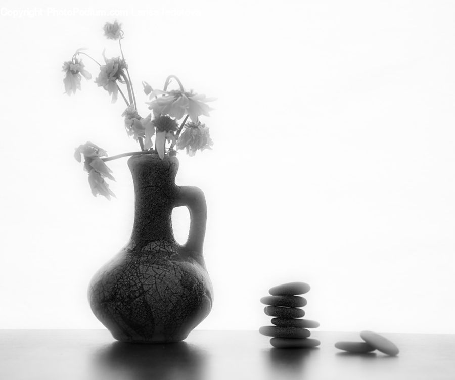 Pebble, Jar, Porcelain, Vase, Plant, Potted Plant, Saucer