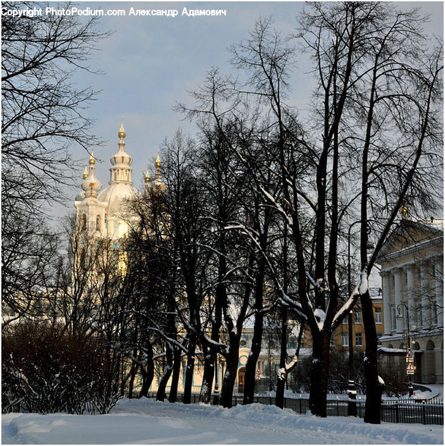 Campus, Landscape, Nature, Scenery, Ice, Outdoors, Snow