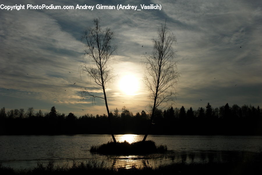 Lake, Outdoors, Water, Forest, Vegetation, Dusk, Sky