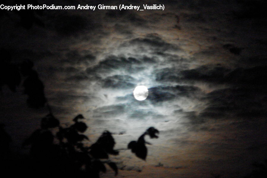 Astronomy, Full Moon, Night, Silhouette, Light, Azure Sky, Cloud