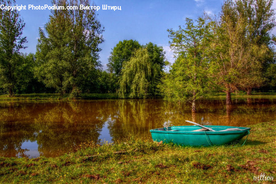 Boat, Canoe, Rowboat, Vessel, Forest, Vegetation, Dinghy